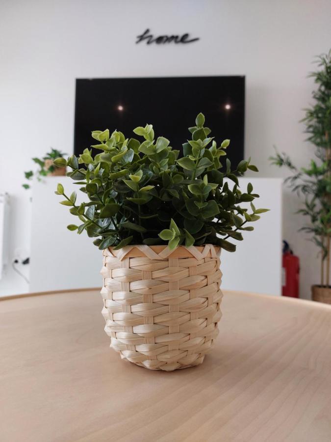 Beach Life Apartment, New, Elegant And Cozy 나자레 외부 사진